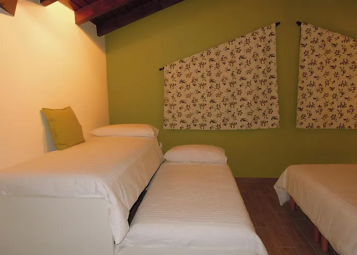 Family And Group Bell'ulivo *