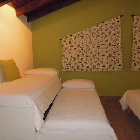 Family And Group Bell'ulivo *